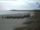 Trassenheide 29.04.2025 07:47
