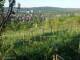 Feuerbach 30.04.2025 07:58