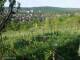 Feuerbach 30.04.2025 07:58