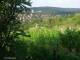 Feuerbach 12.06.2025 07:58