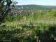 Feuerbach 11.05.2025 07:58
