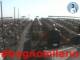 Cesenatico 03.07.2025 07:47