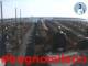 Cesenatico 22.06.2025 07:47