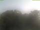 Parkstein 09.06.2025 07:58
