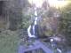 Triberg im Schwarzwald 11.05.2025 07:47