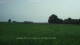't Zandt 09.06.2025 07:58