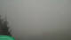 Frohn 15.03.2025 07:59