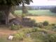 Schneverdingen 09.07.2025 07:47