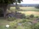 Schneverdingen 11.07.2025 07:47