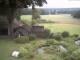 Schneverdingen 09.06.2025 07:47