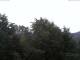 Gmund am Tegernsee 02.06.2025 07:47