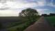 Schwinge 30.04.2025 07:59