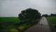 Schwinge 09.06.2025 07:59