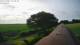 Schwinge 09.06.2025 07:59