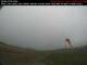 Port Hawkesbury 15.06.2025 07:59