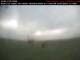 Earlton 30.06.2025 07:00