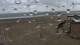 Westende 06.07.2025 07:01
