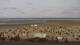 Borkum 09.06.2025 07:02