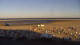 Borkum 11.05.2025 07:02