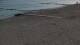 Sarbinowo 01.05.2025 07:03