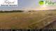 Wyk auf Föhr 09.07.2025 07:03