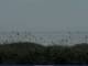 Cape Canaveral, Florida 10.07.2025 07:47