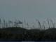 Cape Canaveral, Floride 17.05.2025 07:47