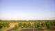 Bentonville, Arkansas 03.07.2025 07:23