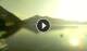 Walchensee 05.07.2025 07:06