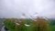 Shorewood, Illinois 30.04.2025 07:27