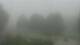 Big Island, Virginia 15.06.2025 07:29