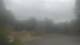 Madison, Tennessee 14.06.2025 07:31