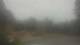Madison, Tennessee 15.06.2025 07:31