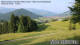 Oberstaufen 09.06.2025 07:53