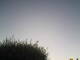Burgstetten 29.04.2025 07:08