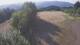Laskowa 05.07.2025 07:09