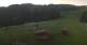Rohrberg 09.06.2025 07:10
