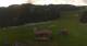 Rohrberg 20.05.2025 07:10