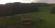 Rohrberg 15.06.2025 07:10