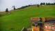 Zieleniec 13.07.2025 07:21