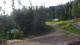 Karpacz 09.06.2025 07:10