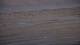 Cucq 29.04.2025 07:11