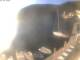 Valun (Cres) 30.04.2025 07:11