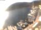 Valun (Cherso) 14.06.2025 07:10