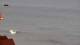 Ericeira 30.06.2025 07:54