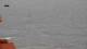 Ericeira 08.05.2025 07:54