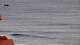 Ericeira 29.04.2025 07:54
