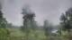 Davidsonville, Maryland 15.06.2025 07:32