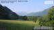 Maishofen 09.06.2025 07:56