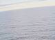 AIDAbella 08.07.2025 07:11